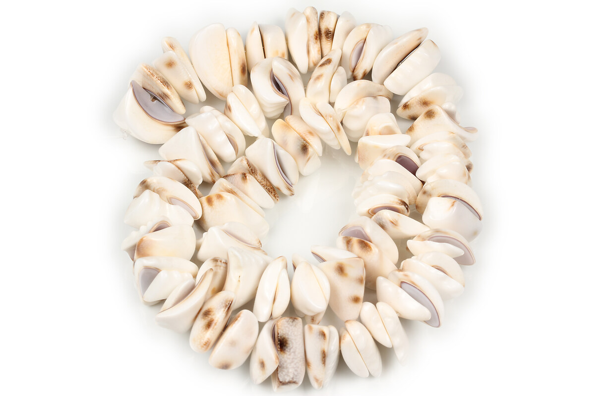 Mărgele mărgele sidef tiger cowrie shell 7-11x15-21 mm (sirag)