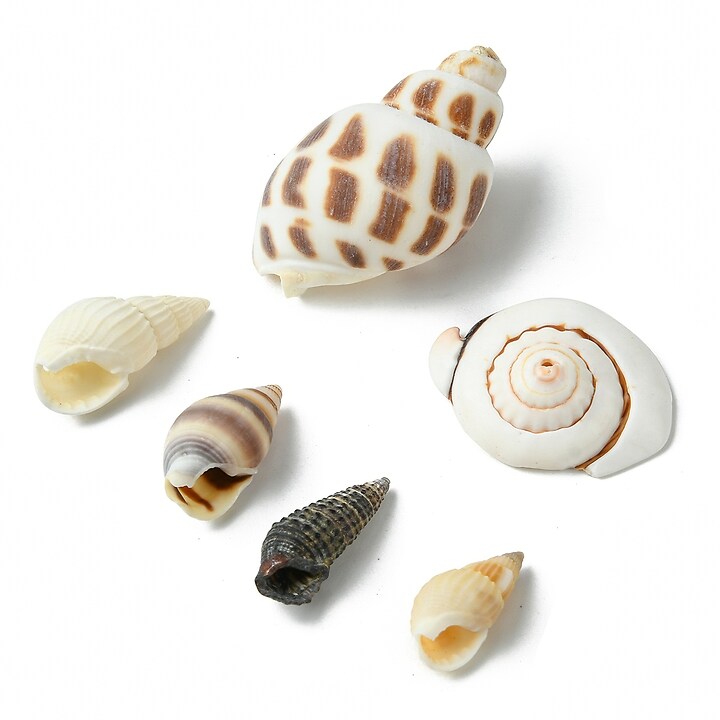 Margele set creativ, cutie cu margele scoici naturale, 6 modele, aprox. 160buc.