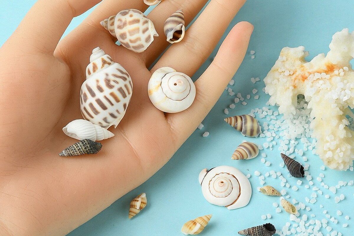 Margele set creativ, cutie cu margele scoici naturale, 6 modele, aprox. 160buc.