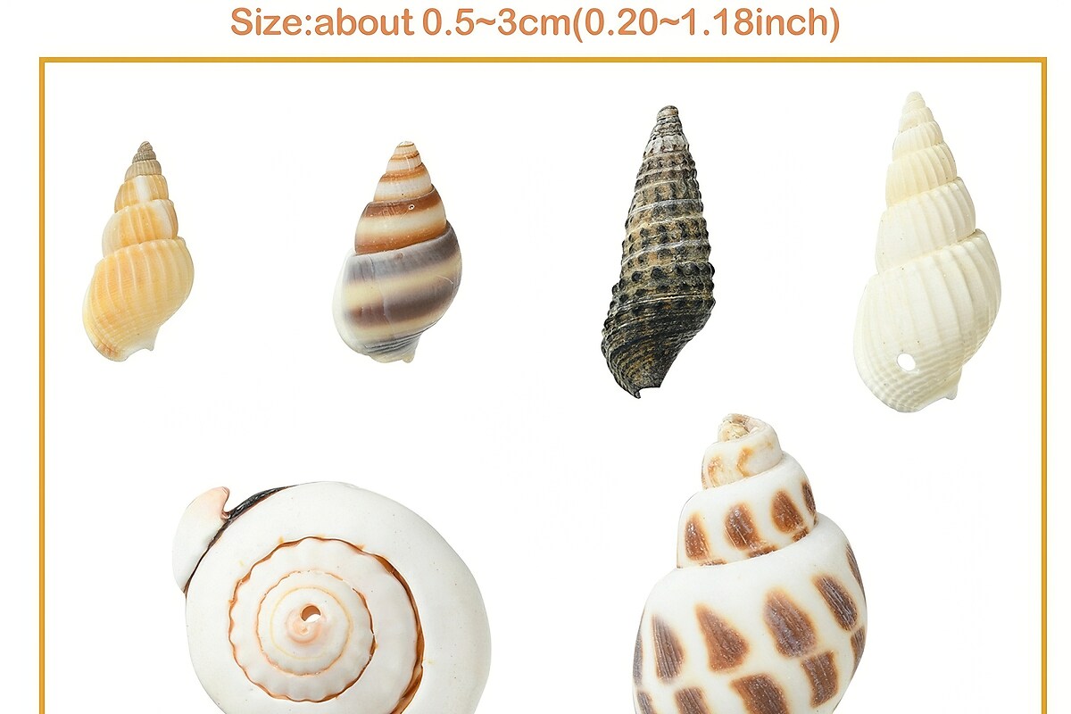 Margele set creativ, cutie cu margele scoici naturale, 6 modele, aprox. 160buc.