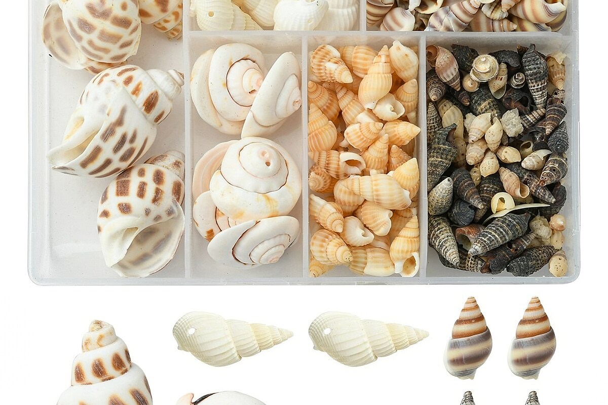 Margele set creativ, cutie cu margele scoici naturale, 6 modele, aprox. 160buc.