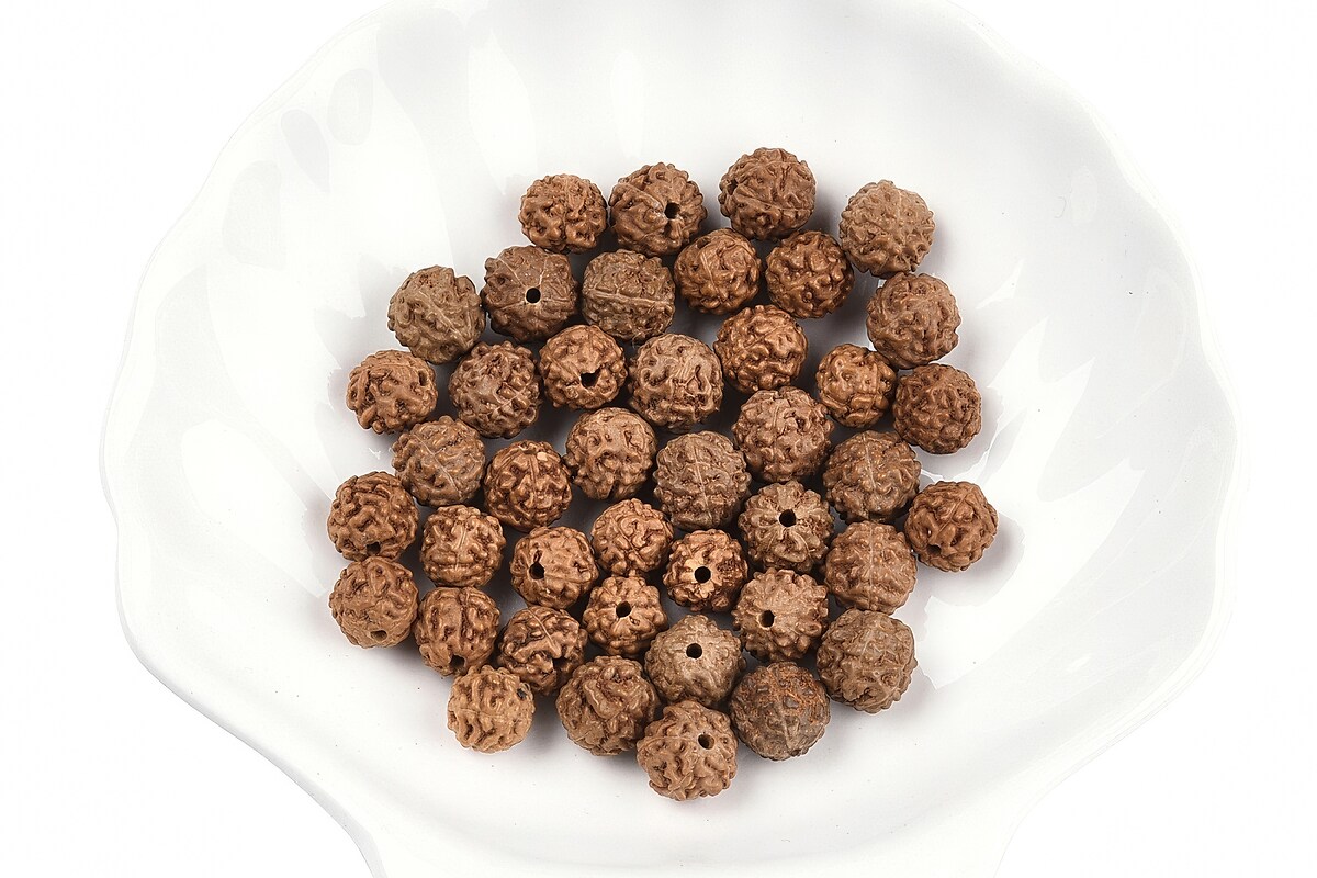 100 buc. margele naturale de Rudraksha pentru confectionarea bratarilor Mala, sfere 6-9mm mix