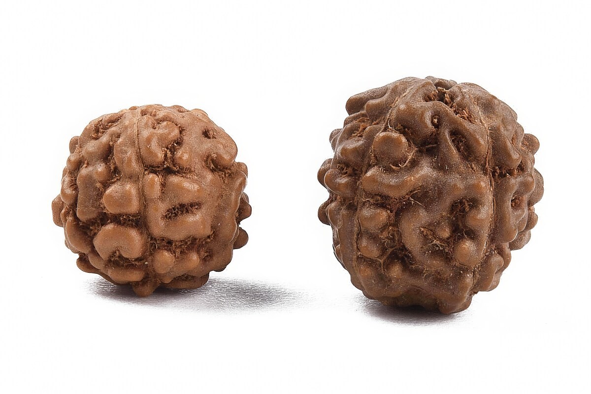 100 buc. margele naturale de Rudraksha pentru confectionarea bratarilor Mala, sfere 6-9mm mix