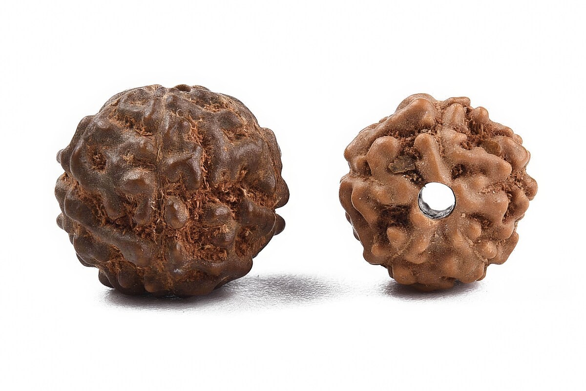 100 buc. margele naturale de Rudraksha pentru confectionarea bratarilor Mala, sfere 6-9mm mix