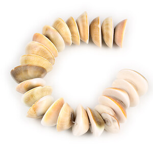Sirag scurt mărgele scoică 19-25x7-11 mm (sirag)