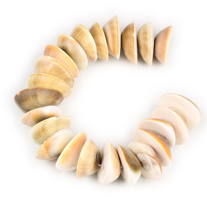 Margele scurt margele scoica  19-25x7-11mm (sirag)