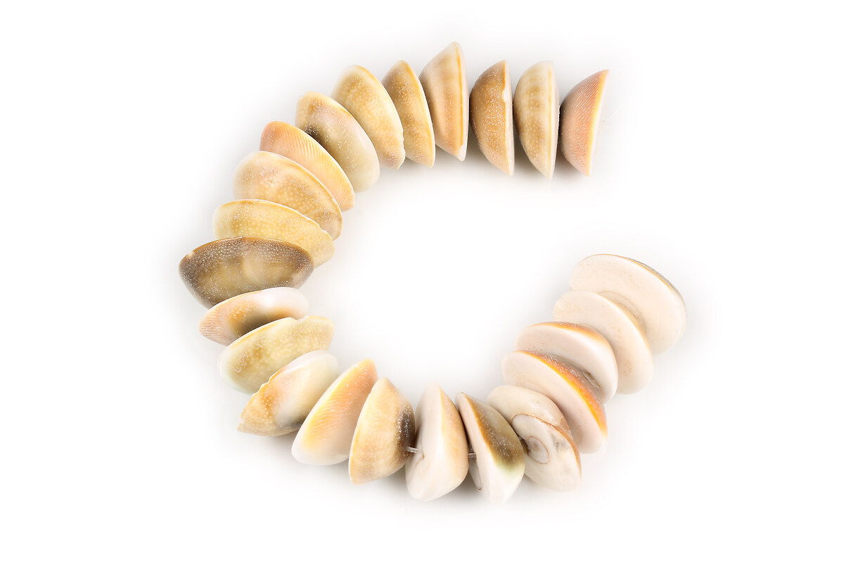 Mărgele scurt mărgele scoică 19-25x7-11 mm (sirag)
