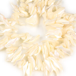 Mărgele sidef (trochus shell) chips white 22-25x2-11 mm (sirag)
