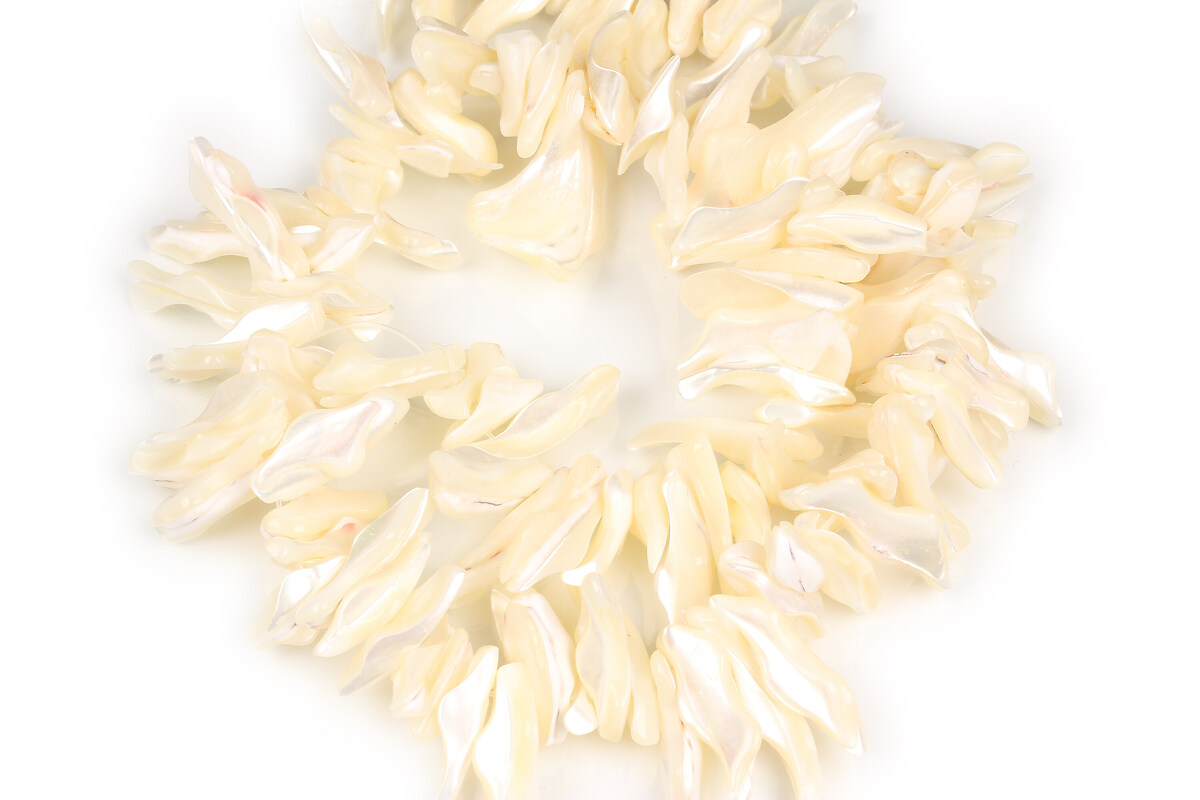 Mărgele mărgele sidef (trochus shell) chips white 22-25x2-11 mm (sirag)