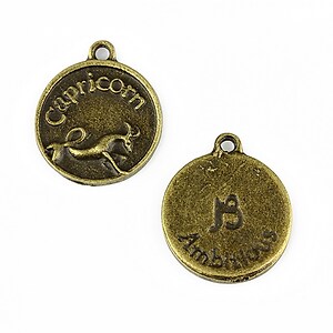 Charm bronz zodiac - capricorn 20x16mm