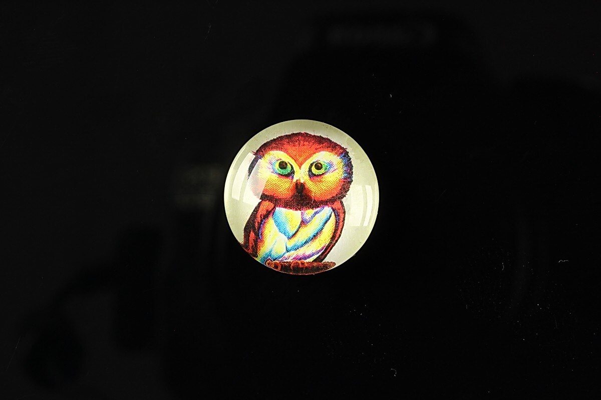 Cabochon sticla 18mm "Cutie owl" cod 077