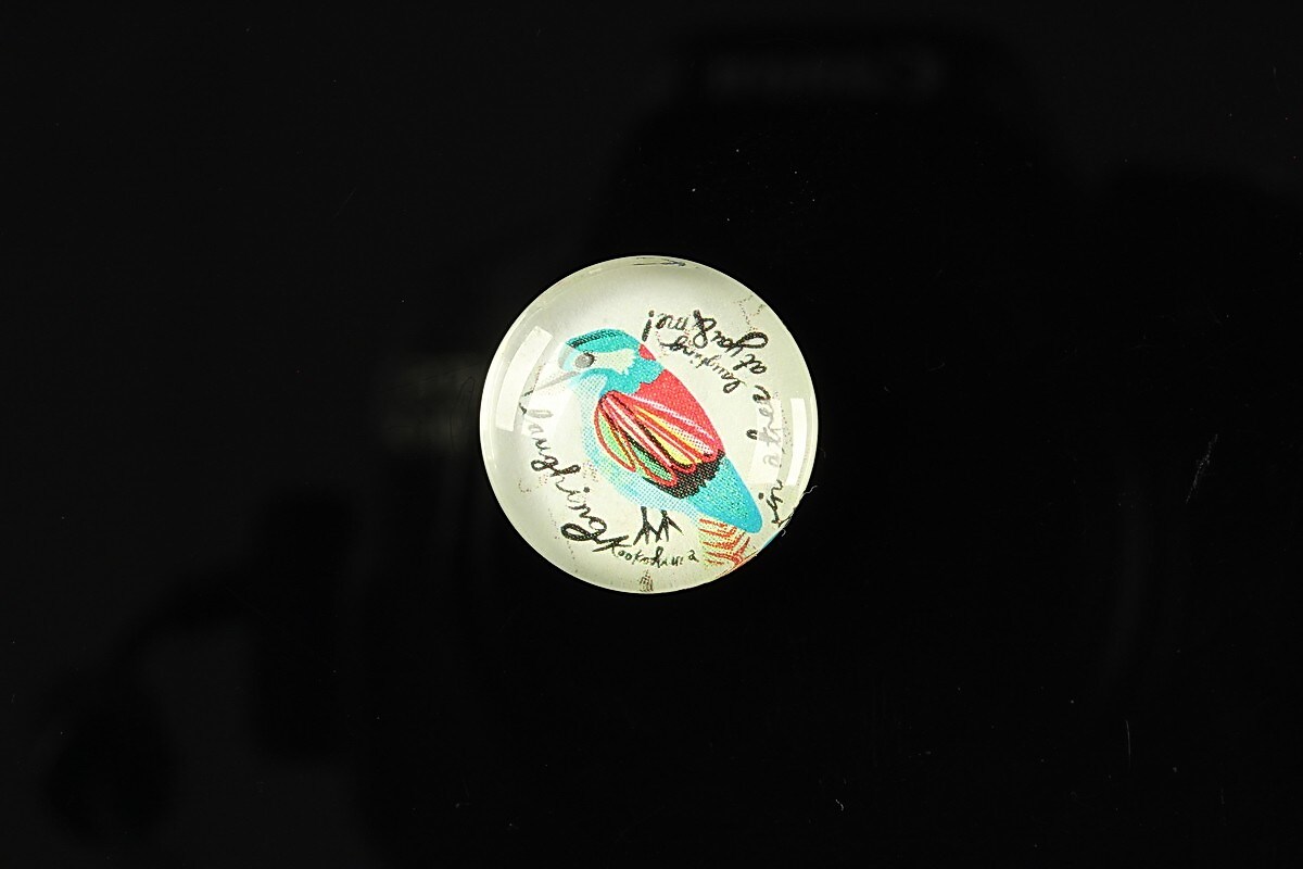 Cabochon sticla 18mm "Colorful birds" cod 109