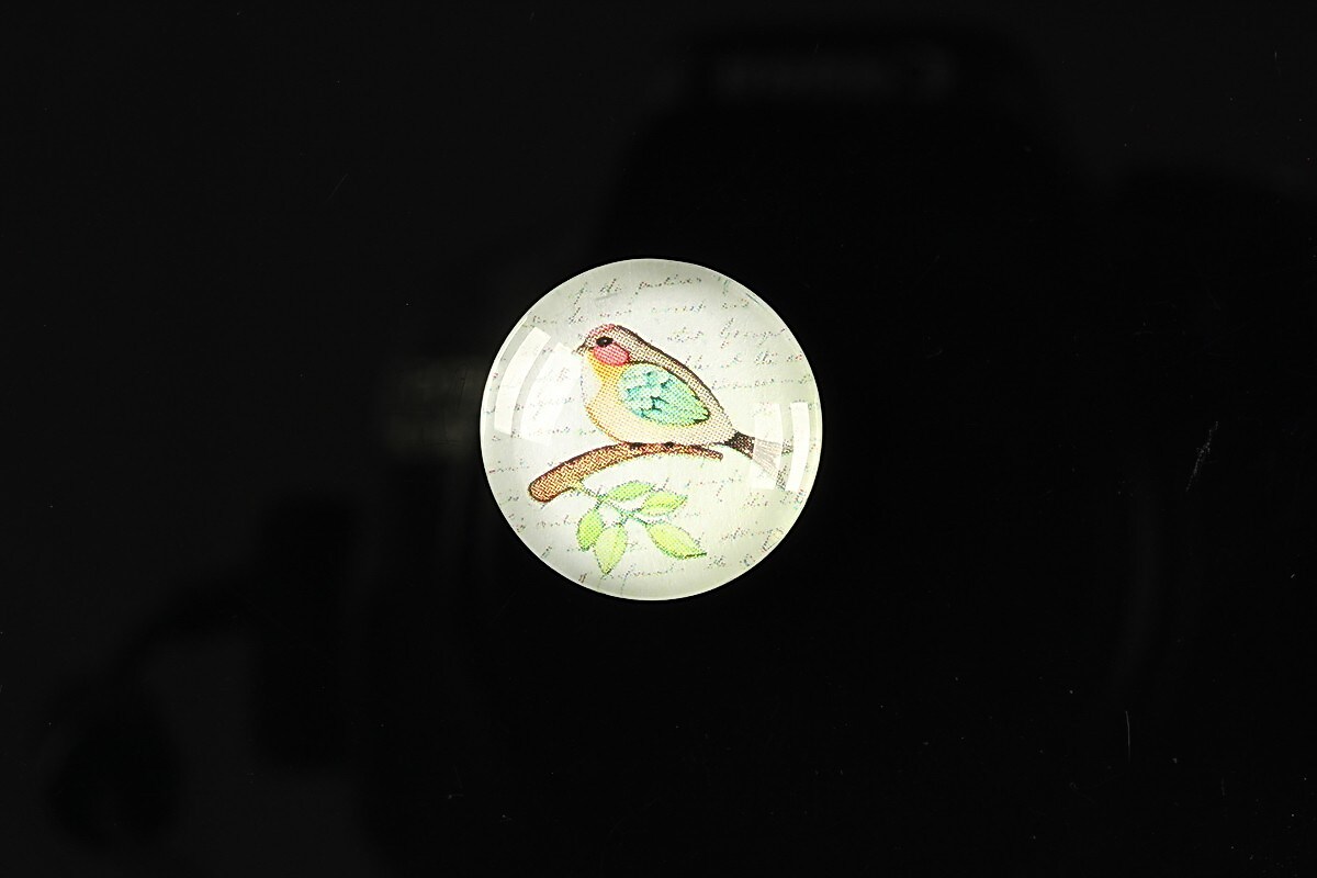 Cabochon sticla 18mm "Colorful birds" cod 108