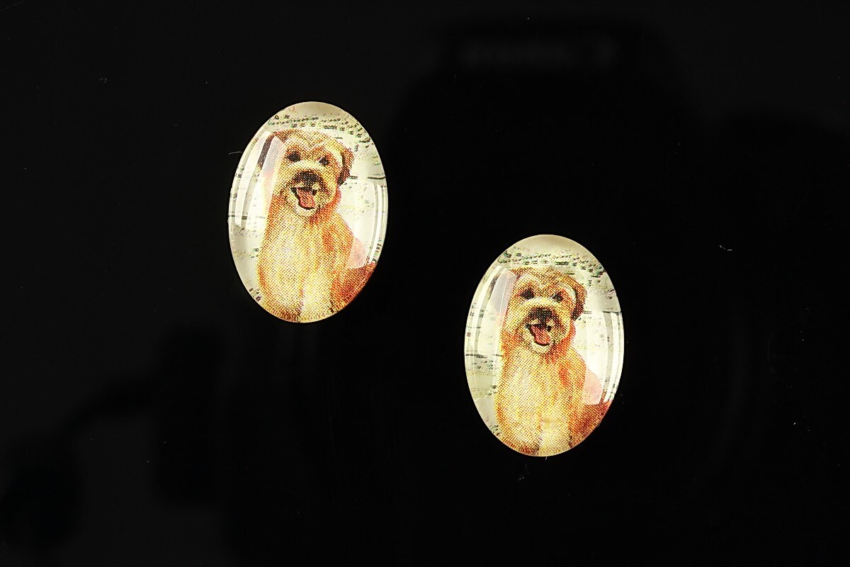 Cabochon sticla 18x13mm "Best friends" cod 224