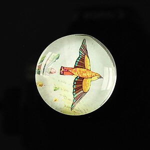 Cabochon sticla 25mm "Bird collection" cod 270