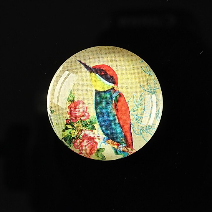 Cabochon sticla 25mm "Bird collection" cod 268
