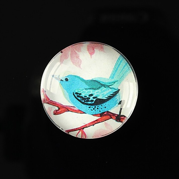 Cabochon sticla 25mm "Bird collection" cod 267