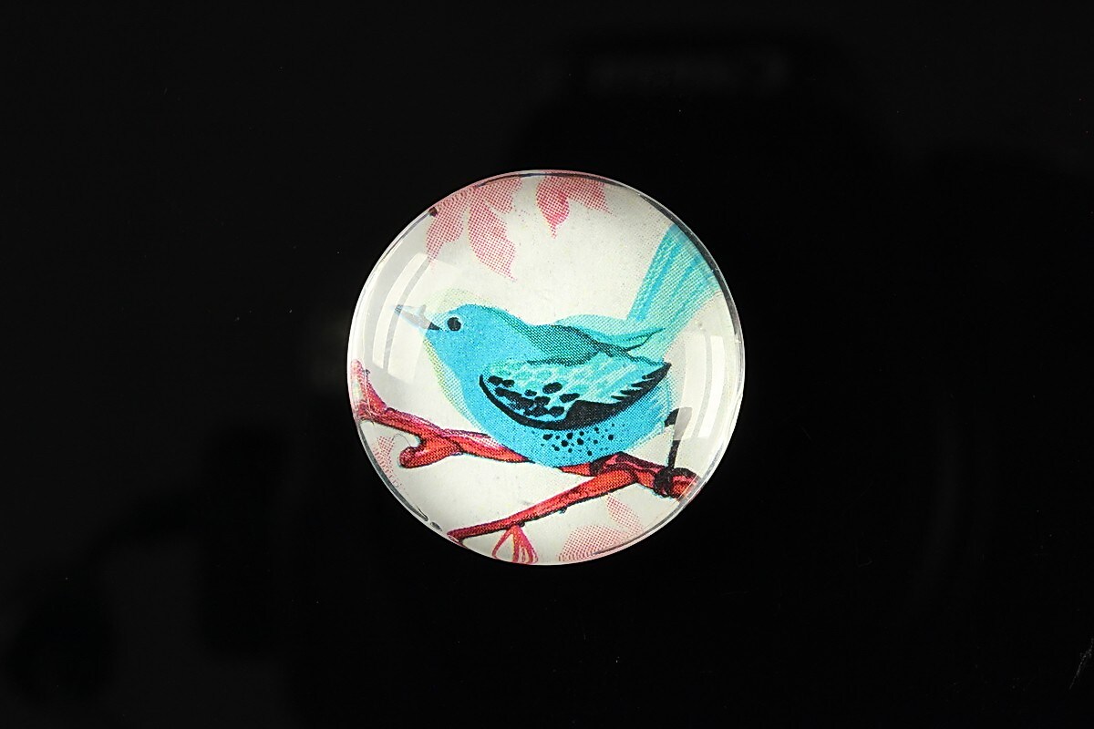 Cabochon sticla 25mm "Bird collection" cod 267