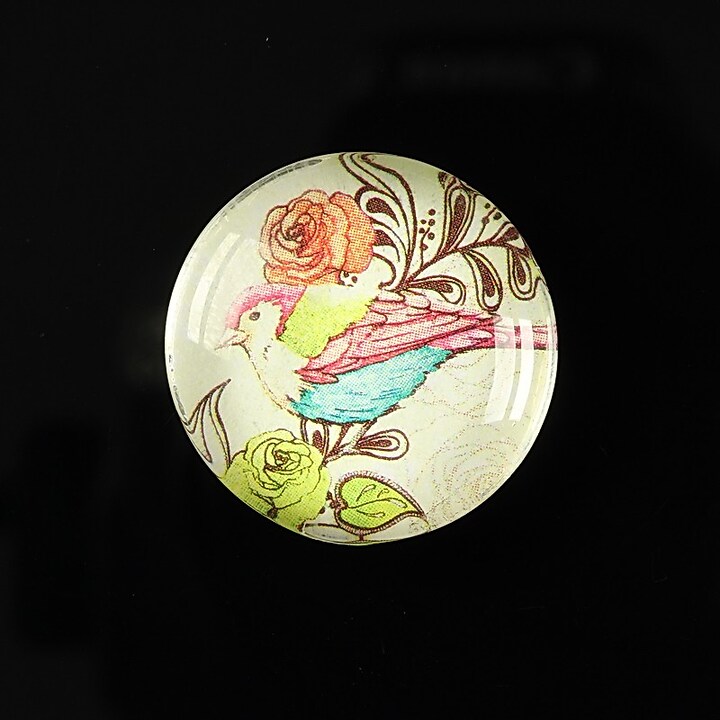 Cabochon sticla 25mm "Bird collection" cod 266