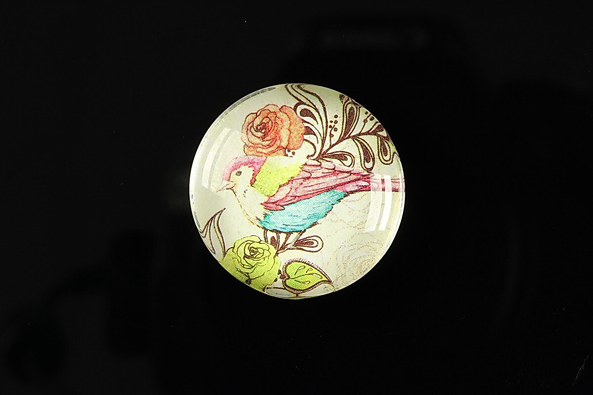 Cabochon sticla 25mm "Bird collection" cod 266