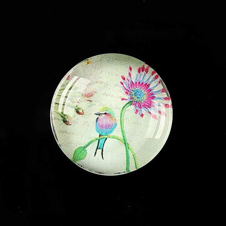 Cabochon sticla 25mm "Bird collection" cod 269