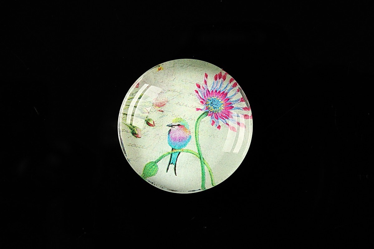 Cabochon sticla 25mm "Bird collection" cod 269