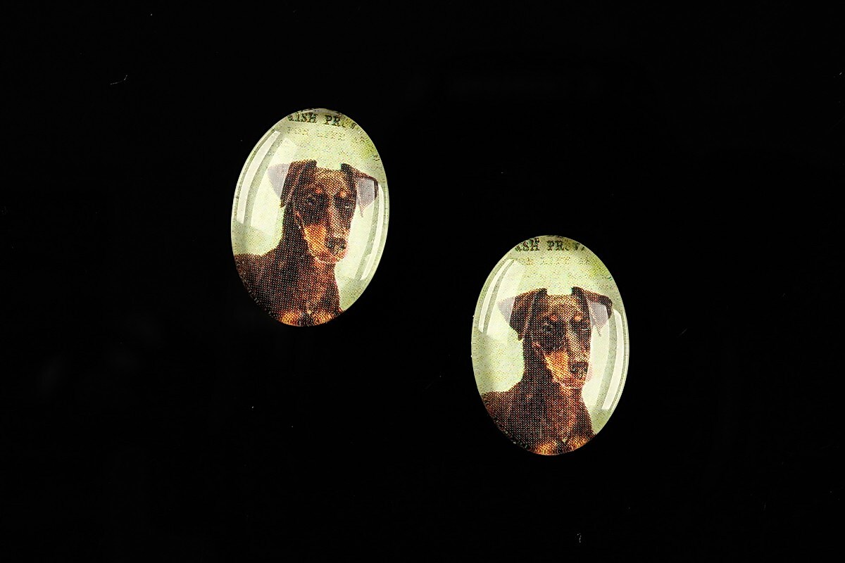 Cabochon sticla 18x13mm "Best friends" cod 225