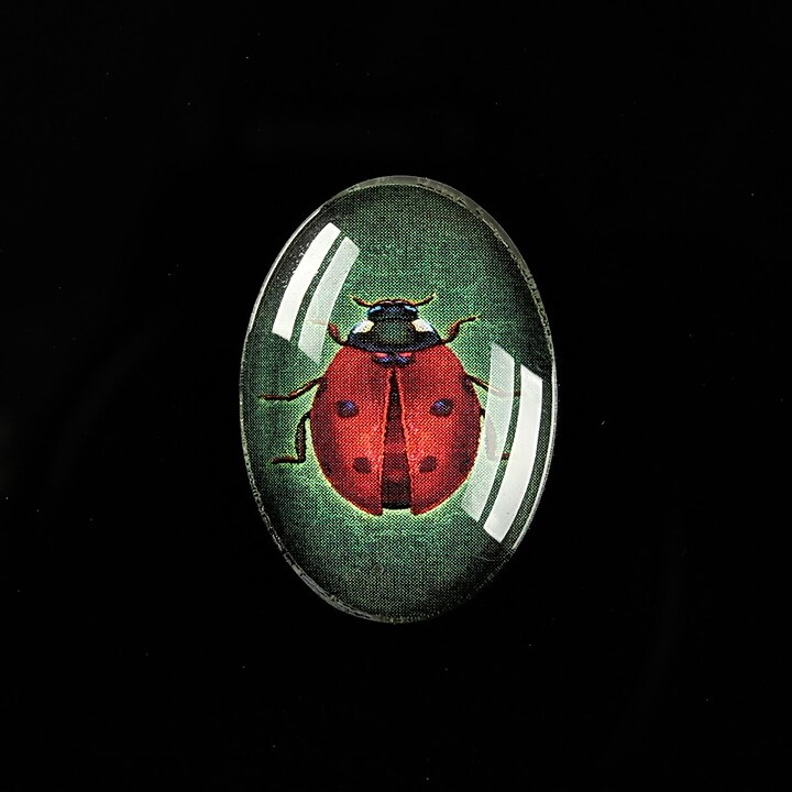 Cabochon sticla 25x18mm "Wings Diversity" cod 401