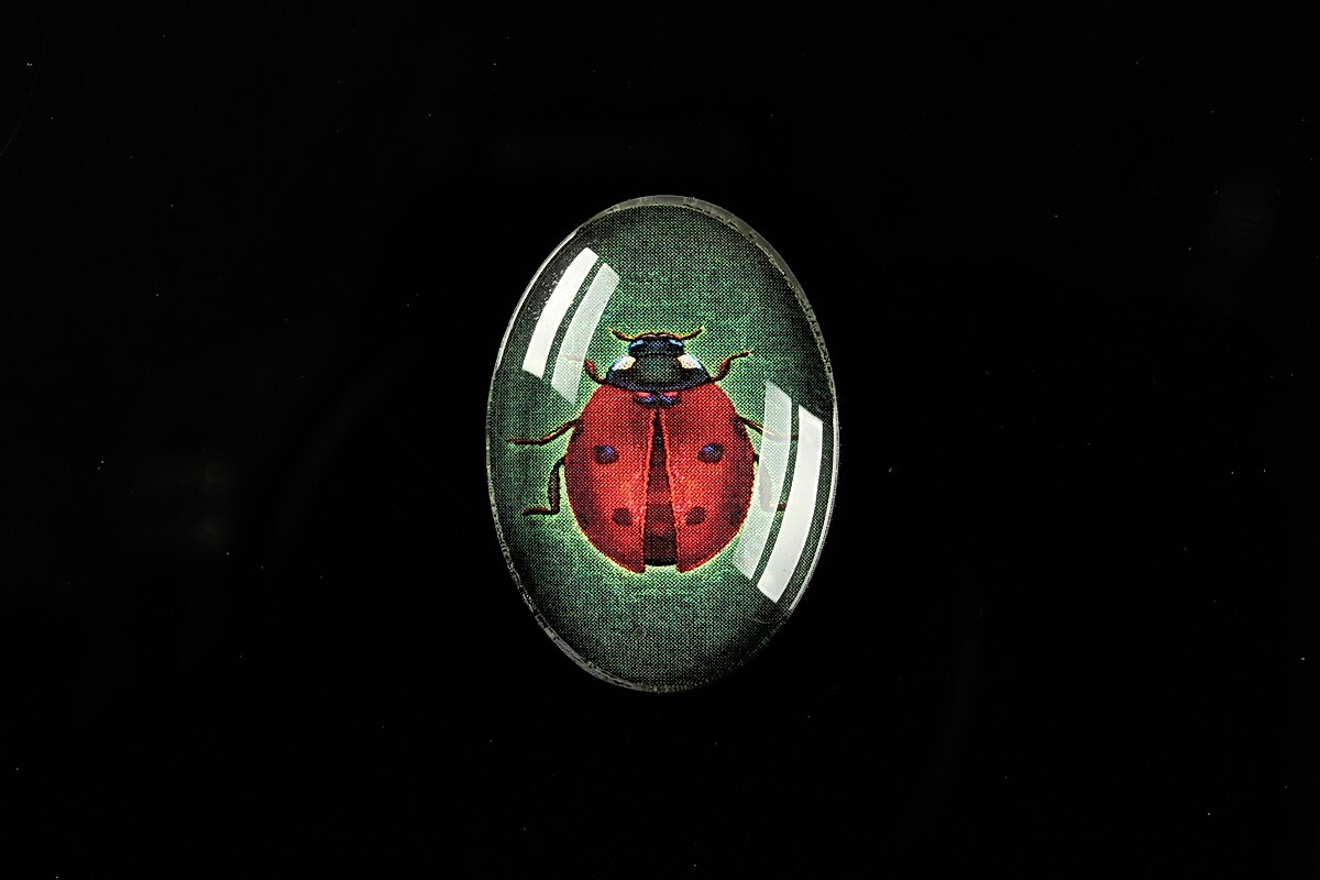 Cabochon sticla 25x18mm "Wings Diversity" cod 401