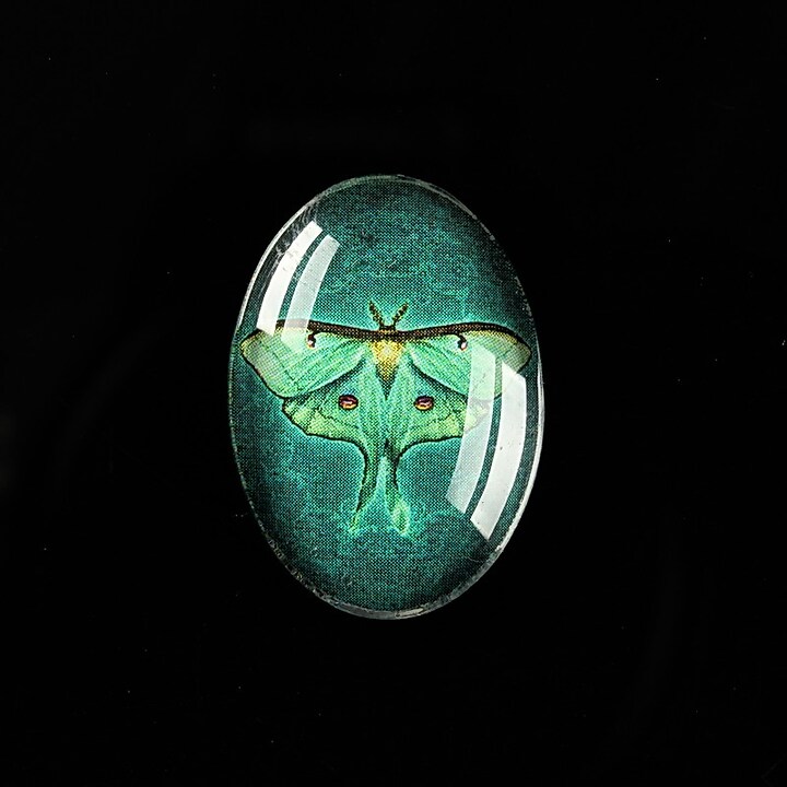 Cabochon sticla 25x18mm "Wings Diversity" cod 402