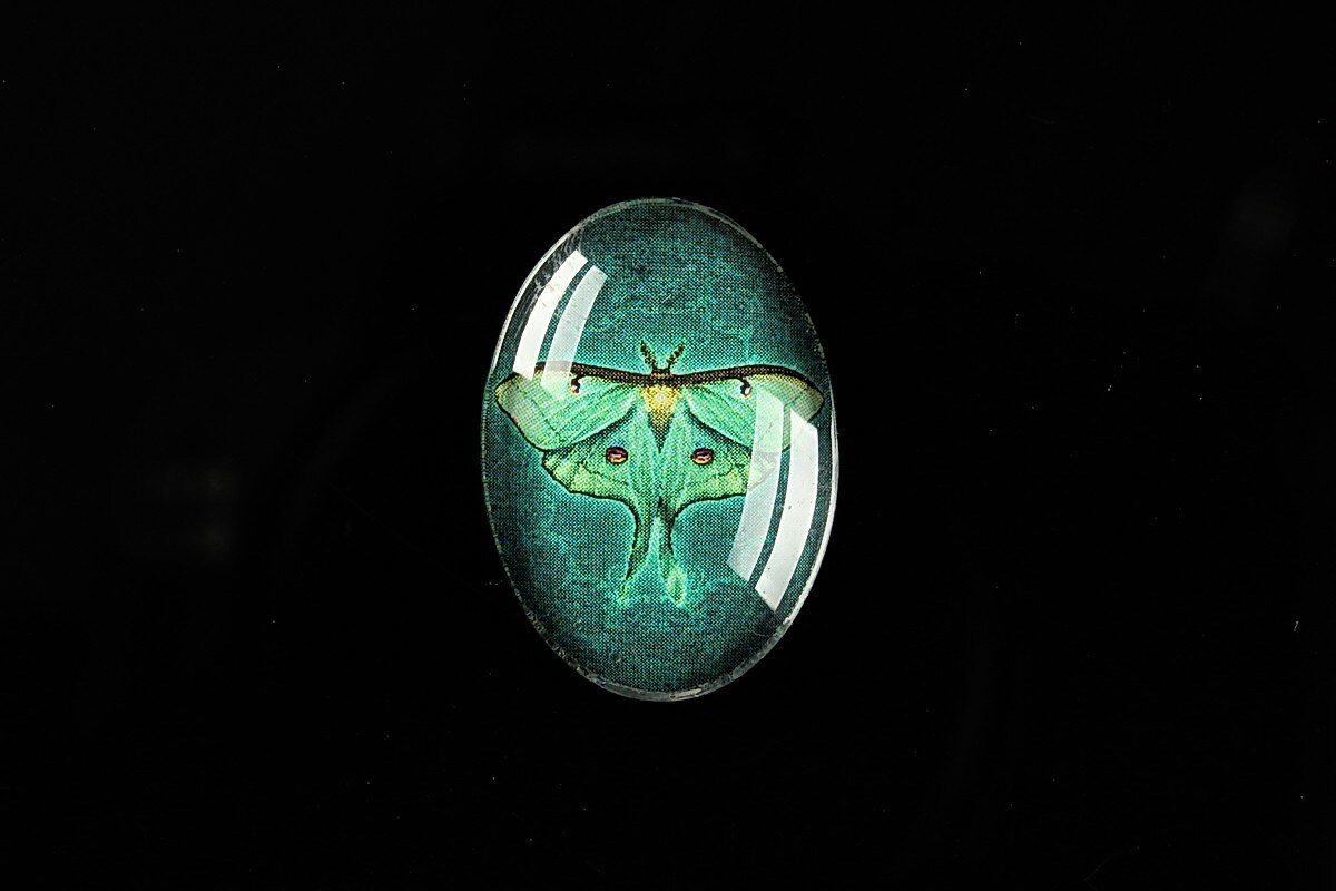 Cabochon sticla 25x18mm "Wings Diversity" cod 402