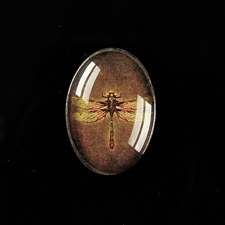 Cabochon sticla 25x18mm "Wings Diversity" cod 403