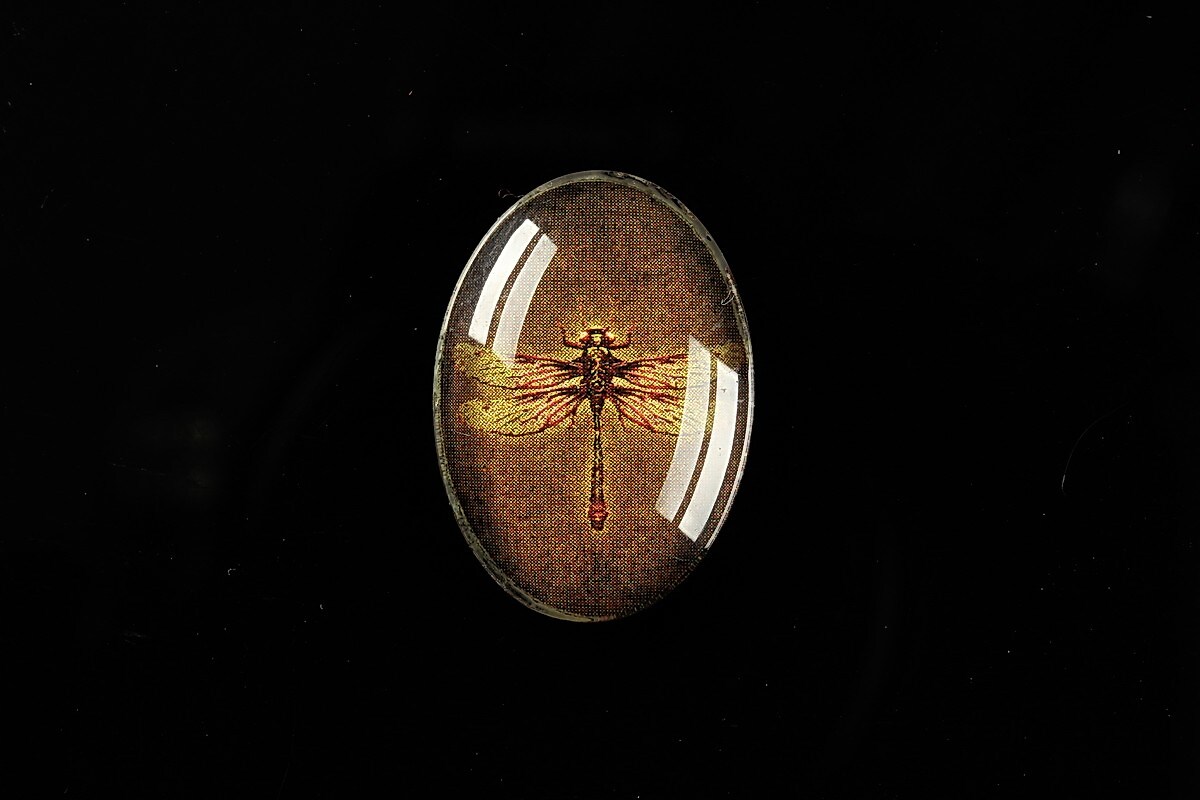 Cabochon sticla 25x18mm "Wings Diversity" cod 403