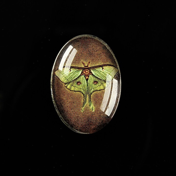 Cabochon sticla 25x18mm "Wings Diversity" cod 404