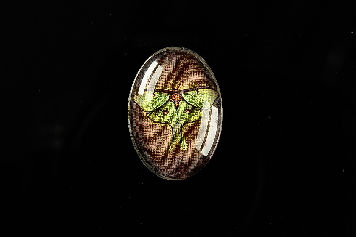 Cabochon sticla 25x18mm "Wings Diversity" cod 404