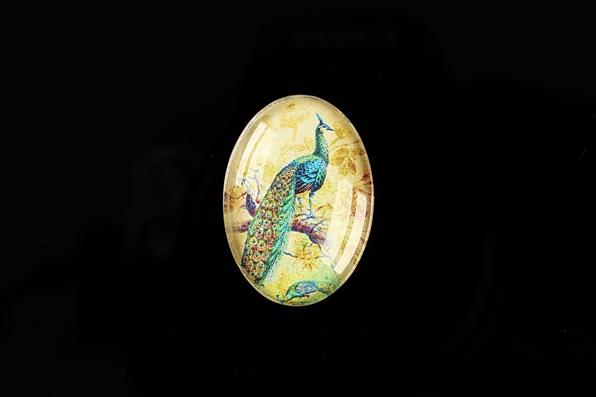 Cabochon sticla 25x18mm "Birds Sounds" cod 513