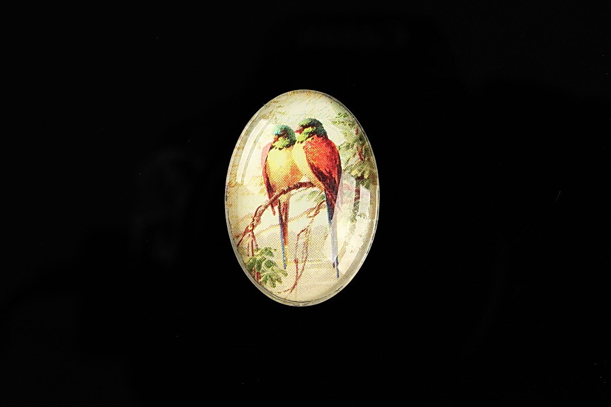 Cabochon sticla 25x18mm "Birds Sounds" cod 514