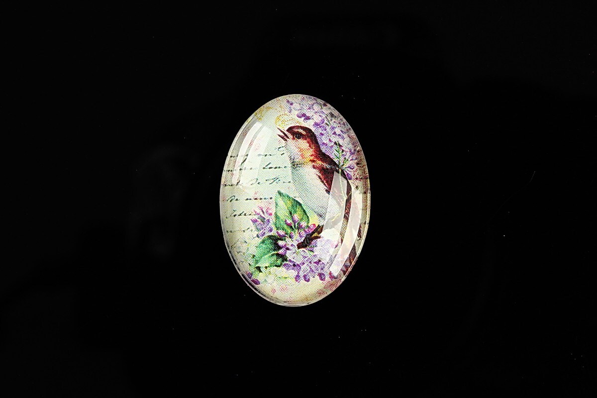 Cabochon sticla 25x18mm "Birds Sounds" cod 515