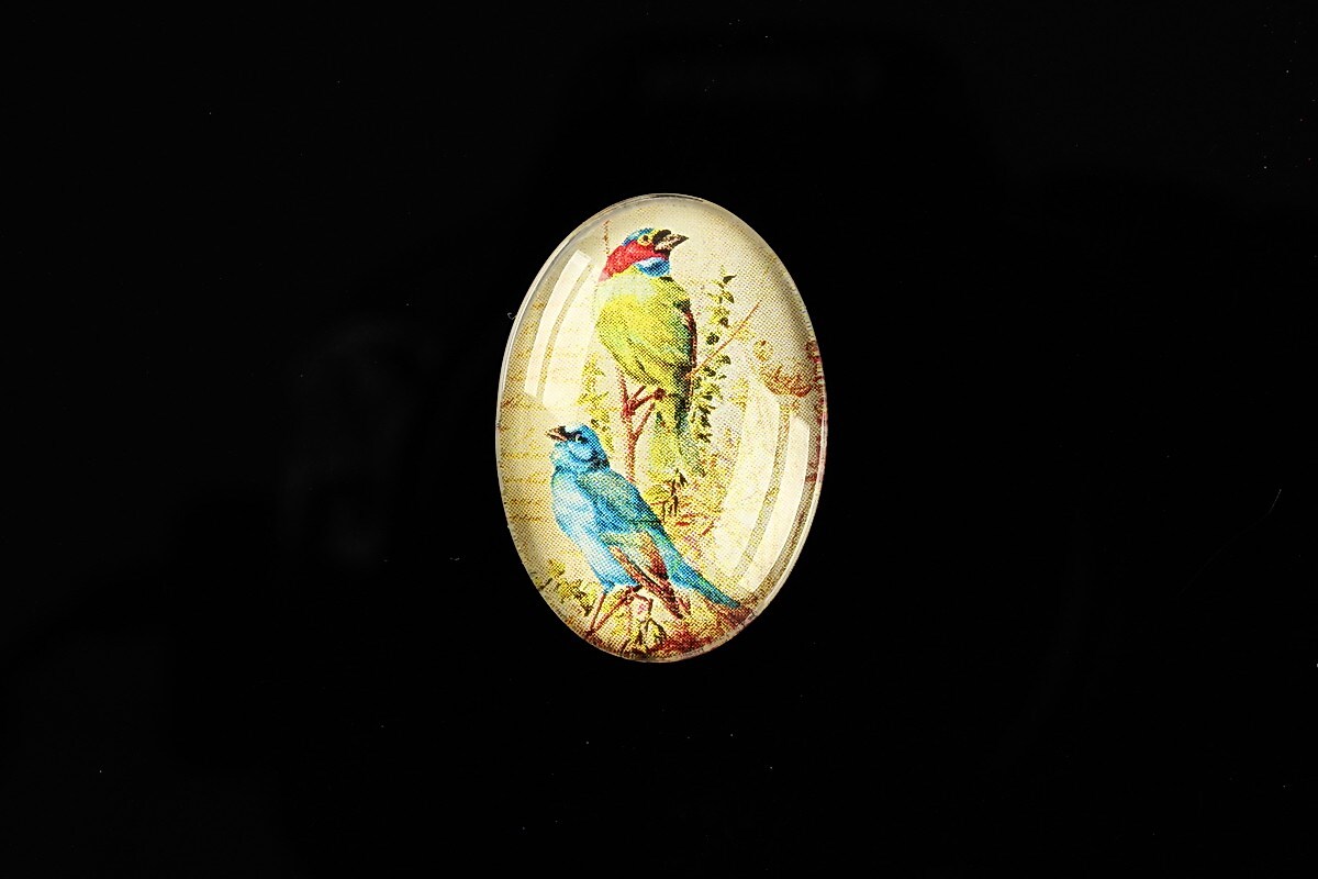 Cabochon sticla 25x18mm "Birds Sounds" cod 516