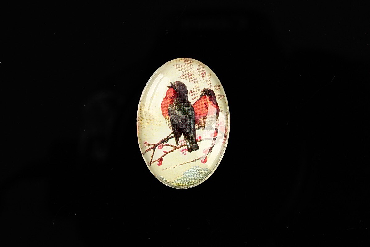 Cabochon sticla 25x18mm "Birds Sounds" cod 517