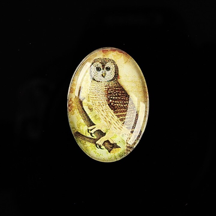 Cabochon sticla 25x18mm "Birds Sounds" cod 518