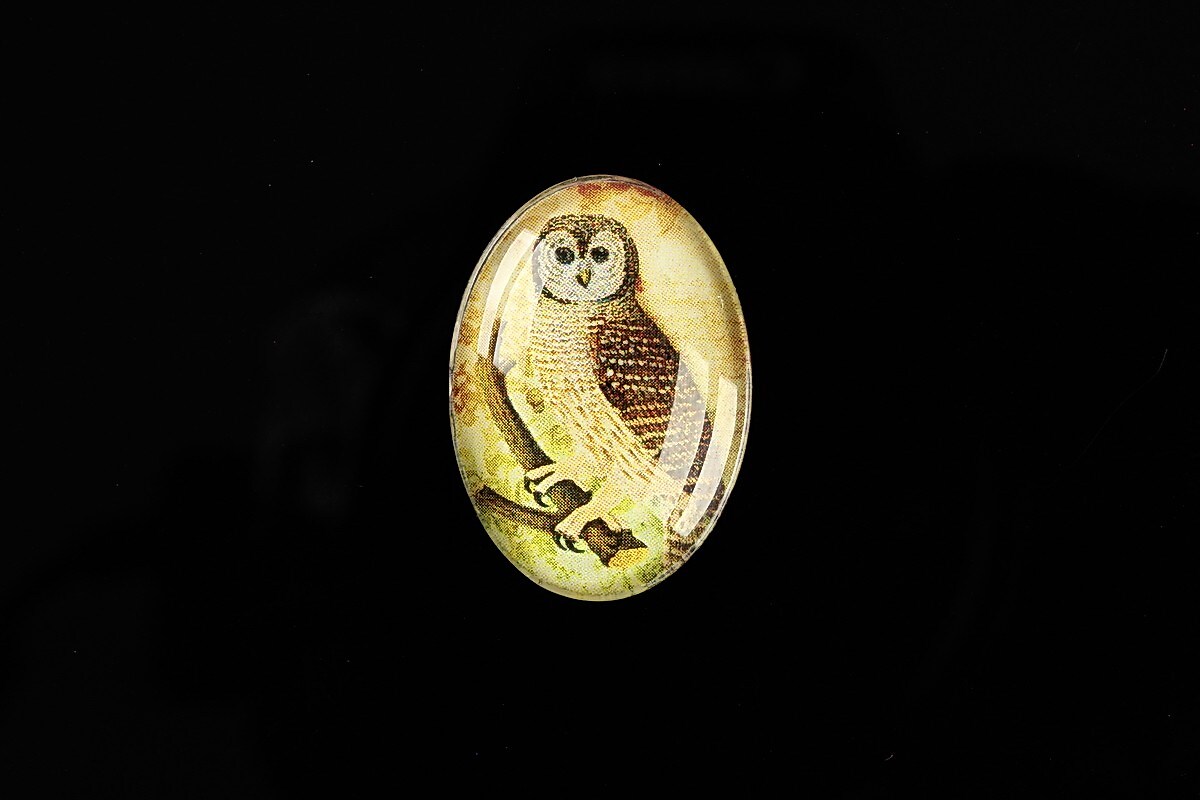 Cabochon sticla 25x18mm "Birds Sounds" cod 518