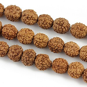 Margele Rudraksha 5 fete - aprox. 8mm