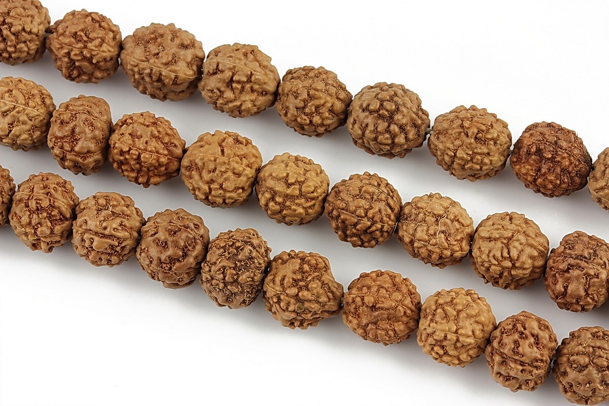 Margele Rudraksha 5 fete - aprox. 8mm