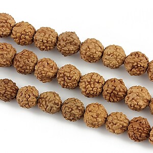 Margele Rudraksha 5 fete - aprox. 7mm