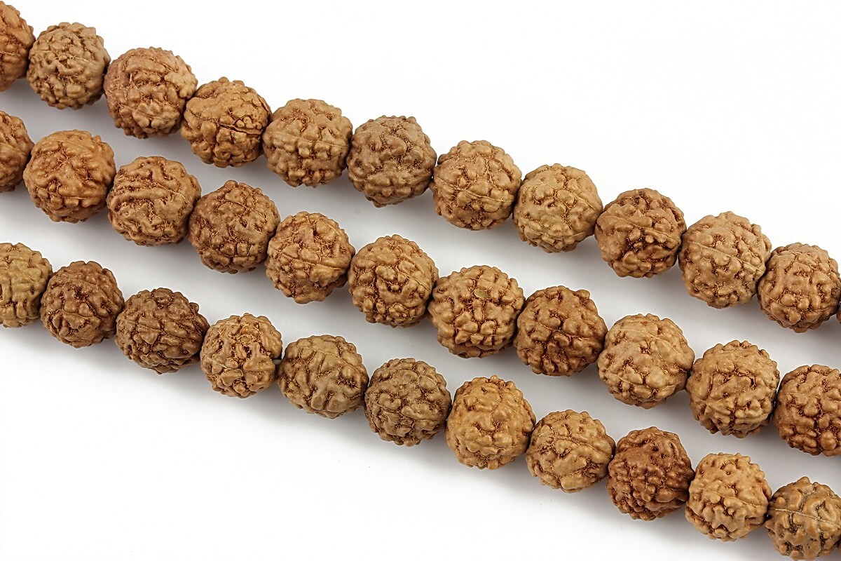 Margele Rudraksha 5 fete - aprox. 7mm