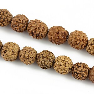 Margele Rudraksha 5 fete - aprox. 9mm