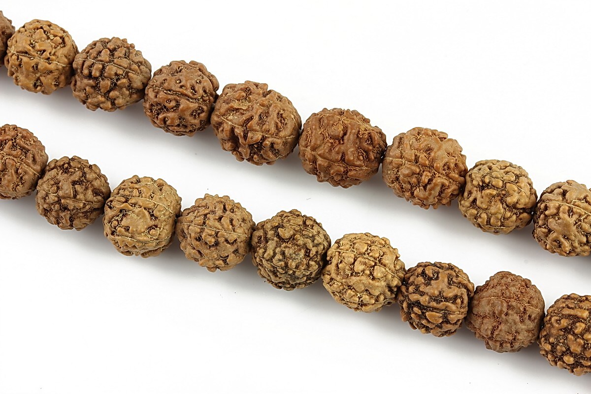 Margele Rudraksha 5 fete - aprox. 9mm