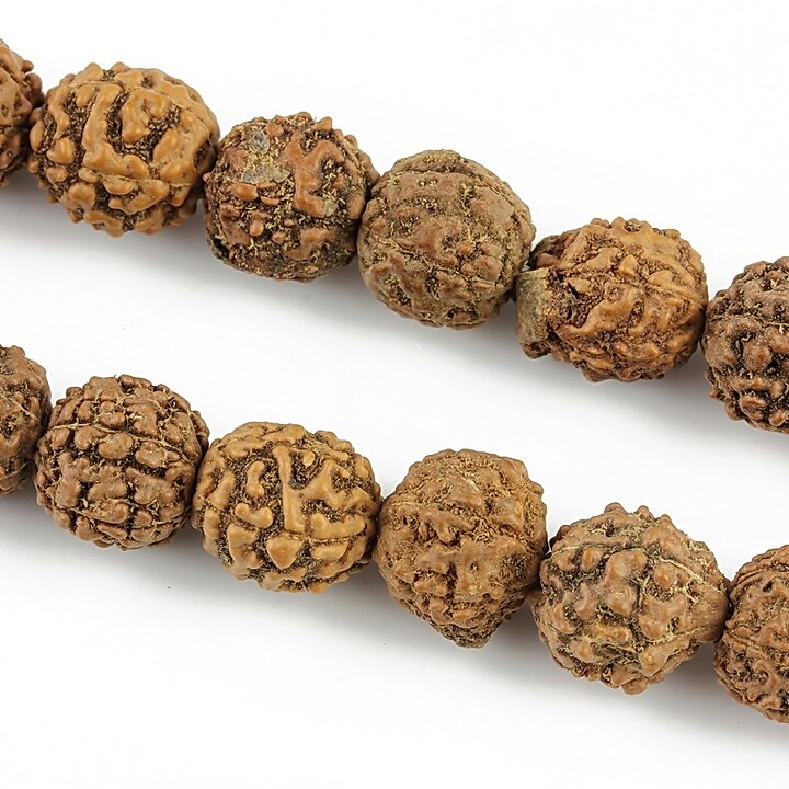 Margele Rudraksha 5 fete - aprox. 10mm