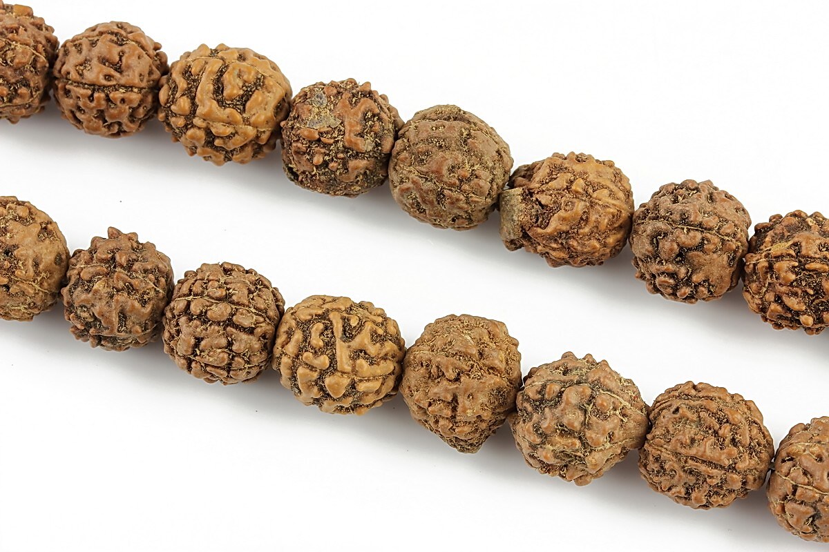 Margele Rudraksha 5 fete - aprox. 10mm